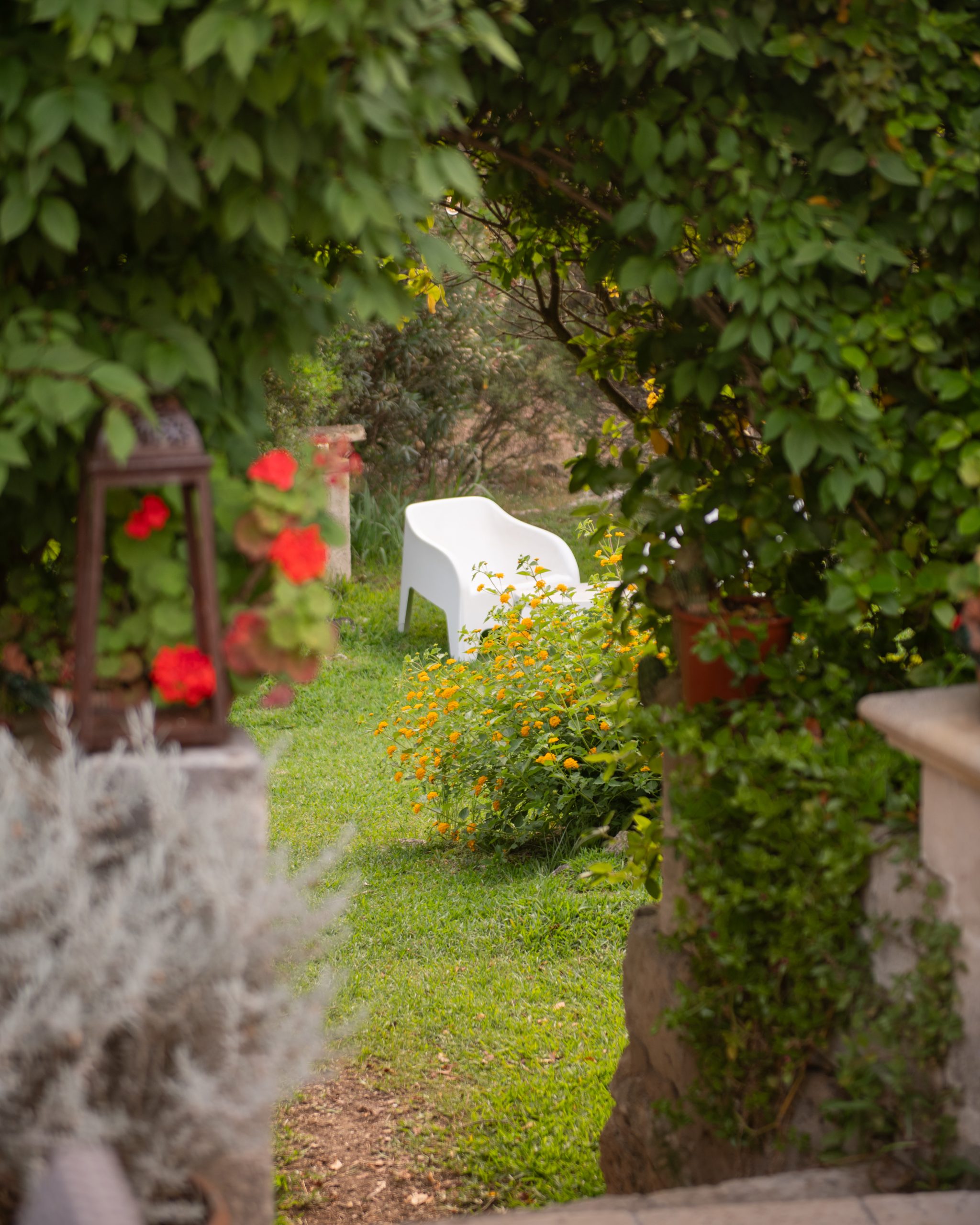 Foto del giardino con sedia sullo sfondo